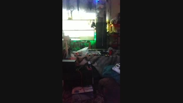 physicssexpert 13-11-2024 Recorded Video sexykitty